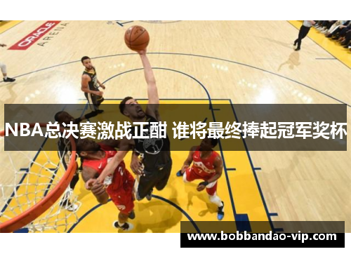 NBA总决赛激战正酣 谁将最终捧起冠军奖杯