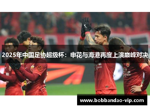 2025年中国足协超级杯：申花与海港再度上演巅峰对决
