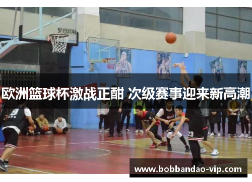 欧洲篮球杯激战正酣 次级赛事迎来新高潮