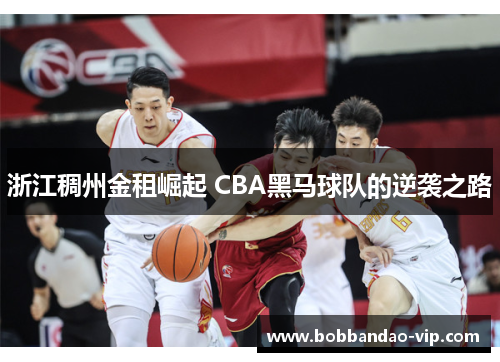 浙江稠州金租崛起 CBA黑马球队的逆袭之路