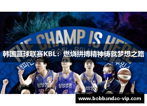 韩国篮球联赛KBL：燃烧拼搏精神铸就梦想之路