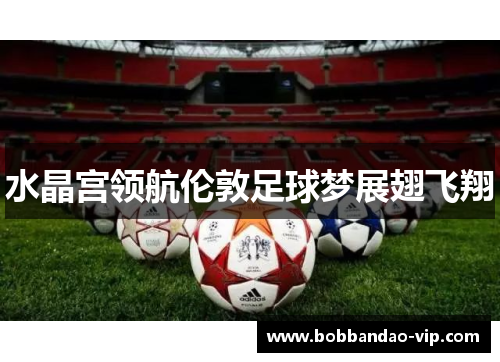 水晶宫领航伦敦足球梦展翅飞翔